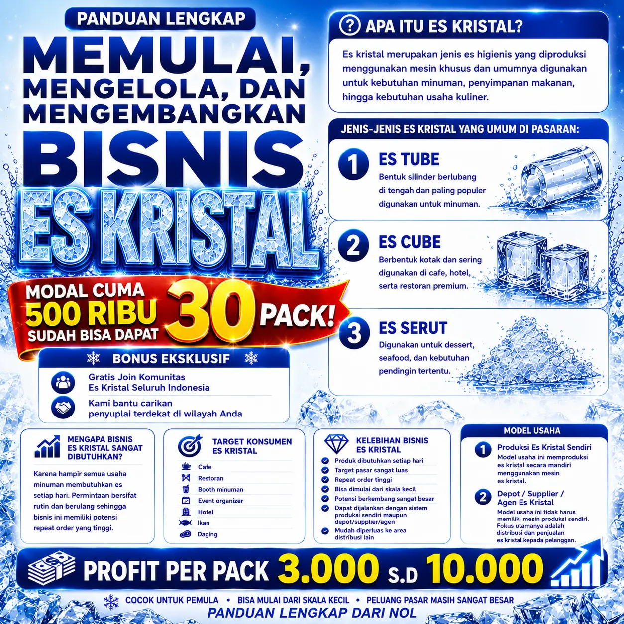 Panduan Memulai Usaha Es Kristal